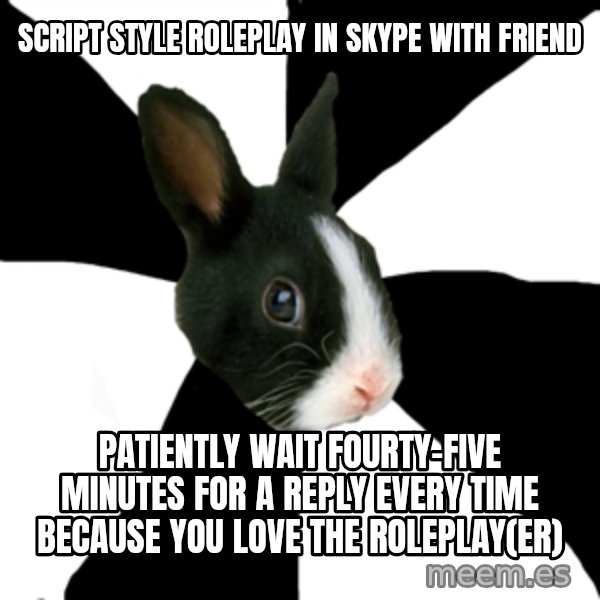 Roleplaying Rabbit meme: Script style roleplay in skype with friend / patiently wait fourty-five minutes for a reply every time because you love the roleplay(er)