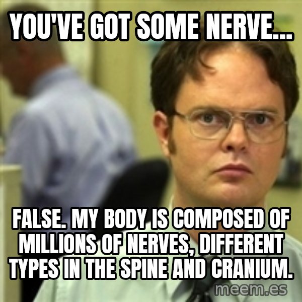 Dwight Schrute meme: YOU'VE GOT SOME NERVE... / FALSE. My BODY IS COMPOSED OF MILLIONS OF NERVES, DIFFERENT TYPES IN THE SPINE AND CRANIUM.