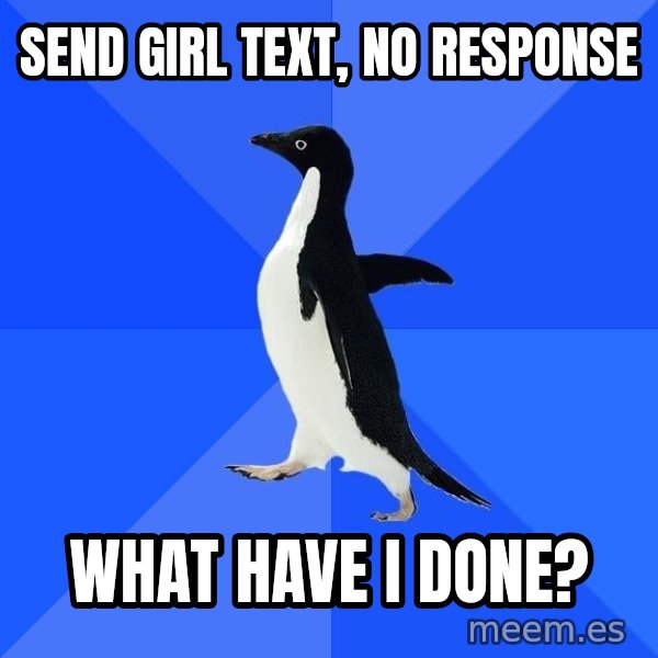 Socially Awkward Penguin meme: send girl text, no response / what have I done?