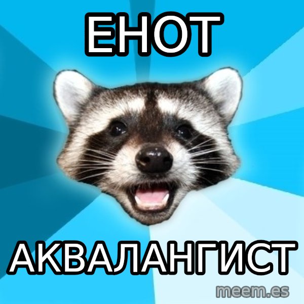 Lame Pun Coon meme: Енот / АКВАЛАНГИСТ