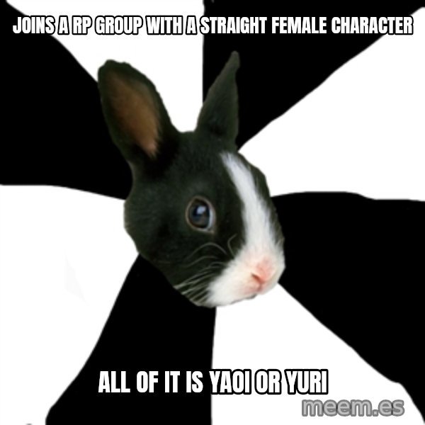 Roleplaying Rabbit meme: Joins a rp group with a straight female character / all of it is yaoi or yuri