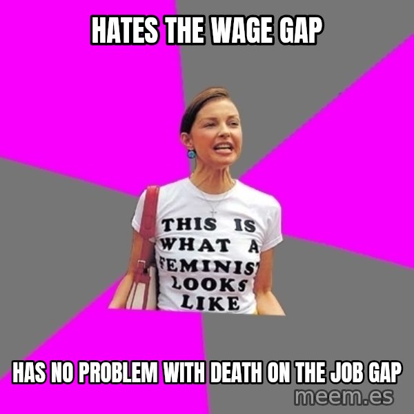 Feminist Cunt meme: HATES THE WAGE GAP / HAS NO PROBLEM WITH DEATH ON THE JOB GAP