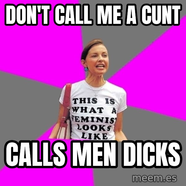 Feminist Cunt meme: DON'T CALL ME A CUNT / CALLS MEN DICKS