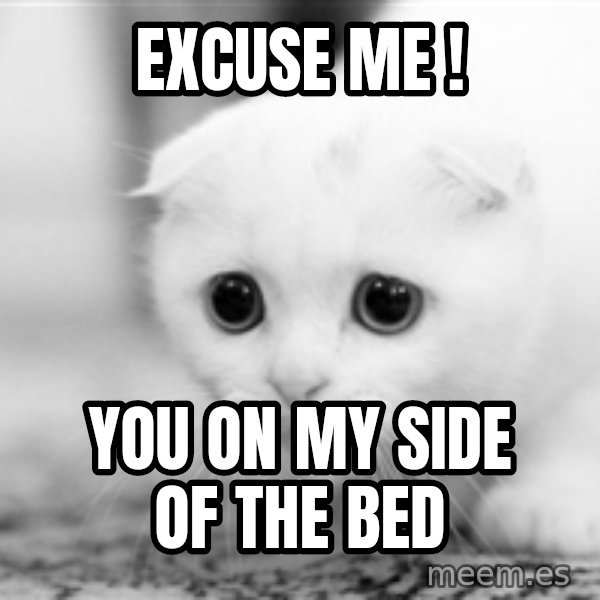 Sadcat meme: EXCUSE ME ! / YOU ON MY SIDE OF THE BED