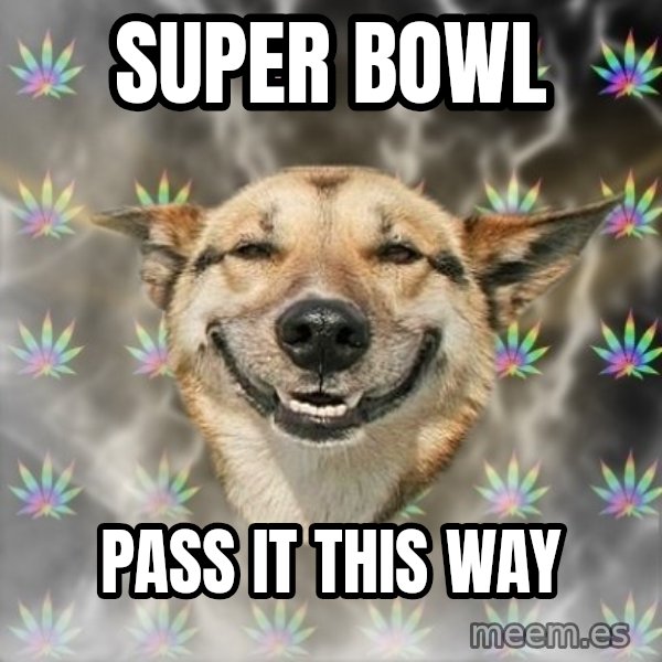 Stoner Dog meme: super bowl / pass it this way
