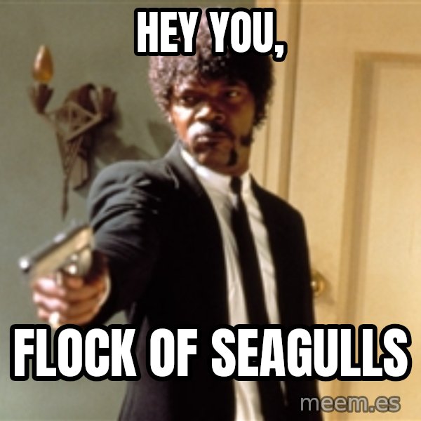 Samuel L Jackson meme: hey you, / flock of seagulls