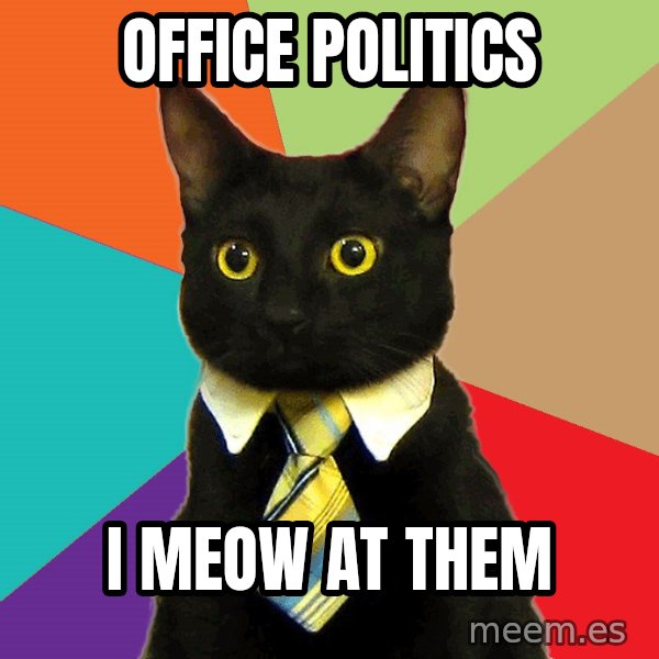 Business Cat meme: Office politics / I Meow at them