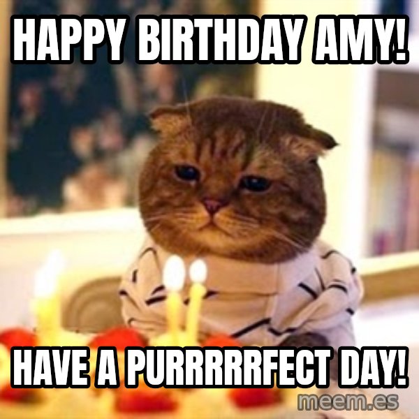 Birthday Cat meme: Happy Birthday Amy! / Have a Purrrrrfect day!