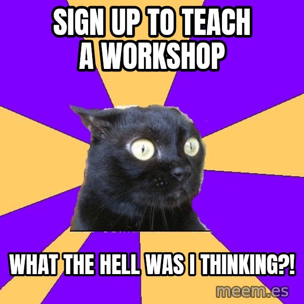 Anxiety Cat meme: Sign up to teach a workshop / WHat the hell was I thinking?!