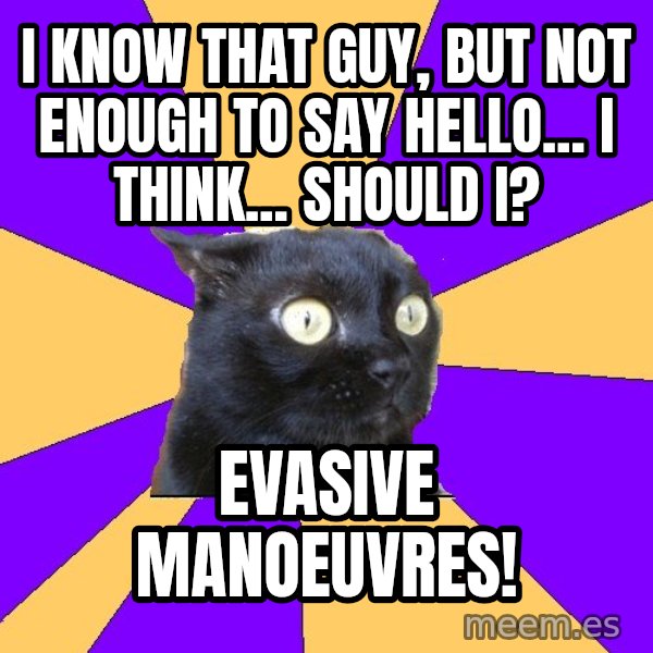 Anxiety Cat meme: i know that guy, but not enough to say hello... i think... should i? / evasive manoeuvres!