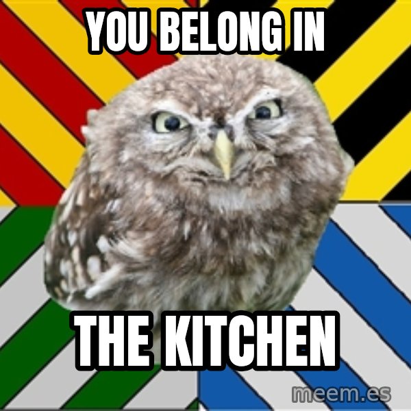 JEALOUS POTTEROMAN meme: YOU BELONG IN / the kitchen