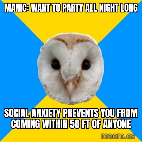 Bipolar Owl meme: Manic: want to party all night long / social anxiety prevents you from coming within 50 ft of anyone