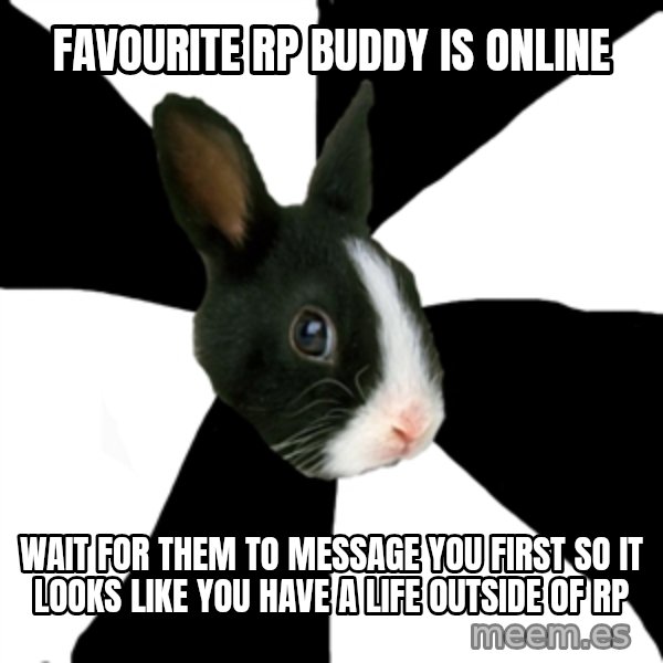 Roleplaying Rabbit meme: favourite rp buddy is online / wait for them to message you first so it looks like you have a life outside of rp