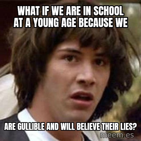 Conspiracy Keanu meme: what if we are in school at a young age because we / are gullible and will believe their lies?