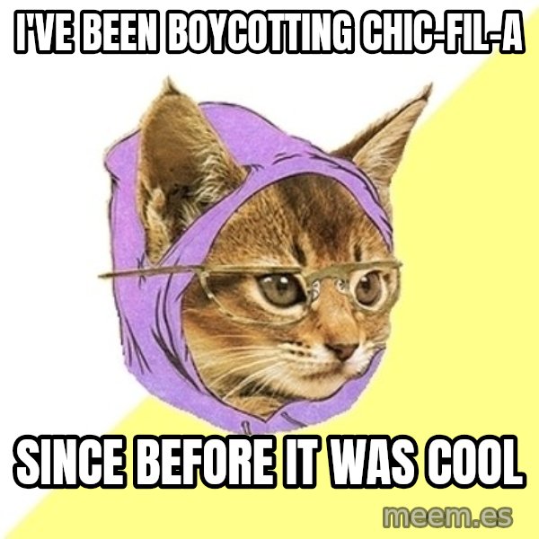 Hipster Kitty meme: i've been boycotting chic-fil-a / since before it was cool