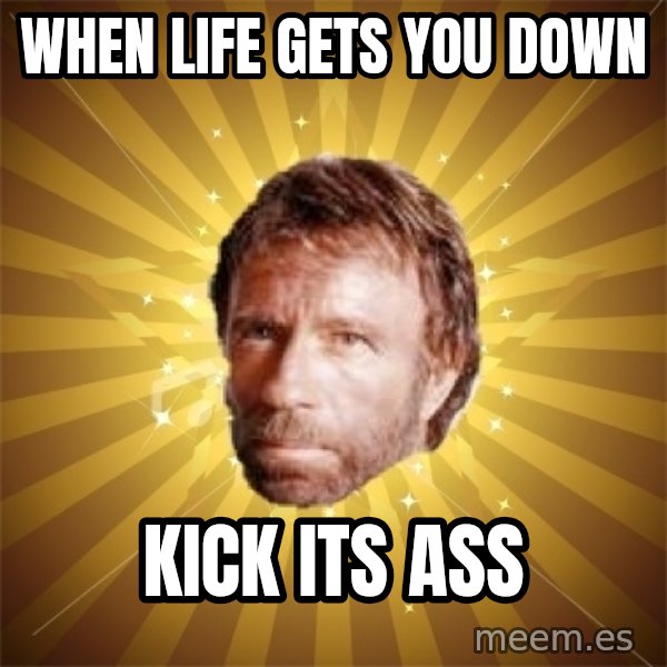Chuck Norris Advice meme: When life gets you down / Kick its ass
