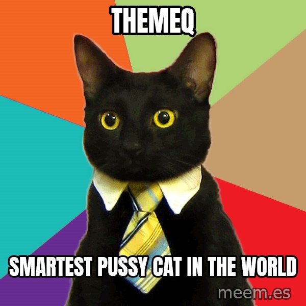 Business Cat meme: TheMeq / smartest pussy cat in the world