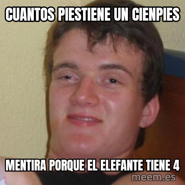 Stoner Stanley meme: cuantos piestiene un cienpies / mentira porque el elefante tiene 4
