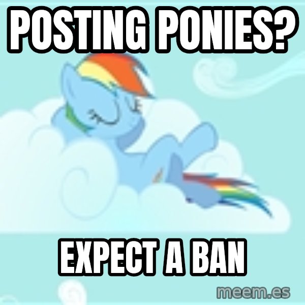 My Little Pony meme: Posting ponies? / Expect a ban