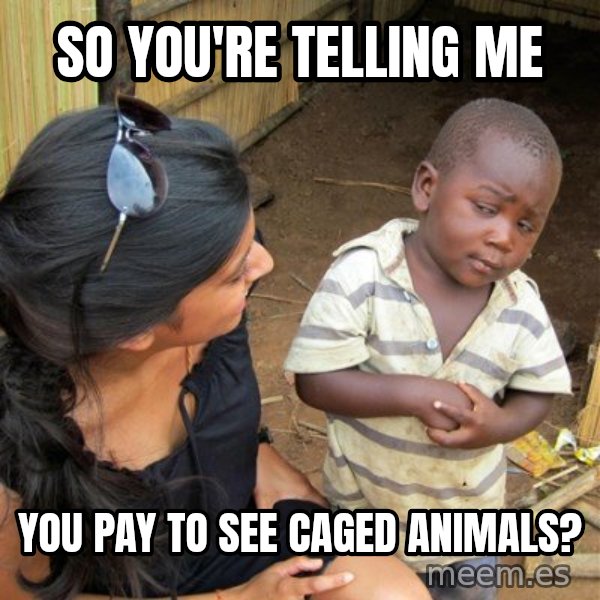 skeptical black kid meme: so you're telling me / you pay to see caged animals?