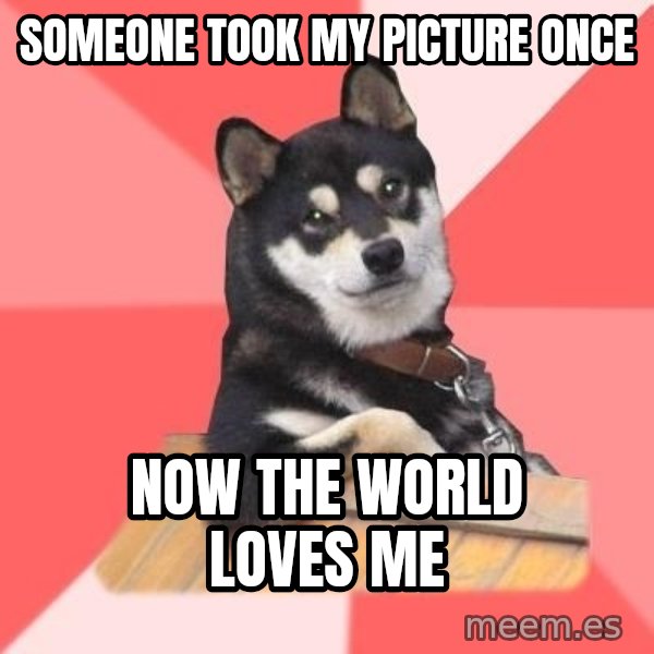 Cool Dog meme: someone took my picture once / now the world loves me