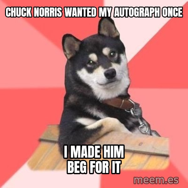 Cool Dog meme: chuck norris wanted my autograph once / i made him beg for it
