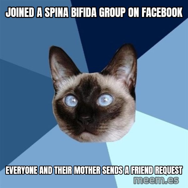 Chronic Illness Cat meme: Joined a spina bifida group on facebook / everyone and their mother sends a friend request