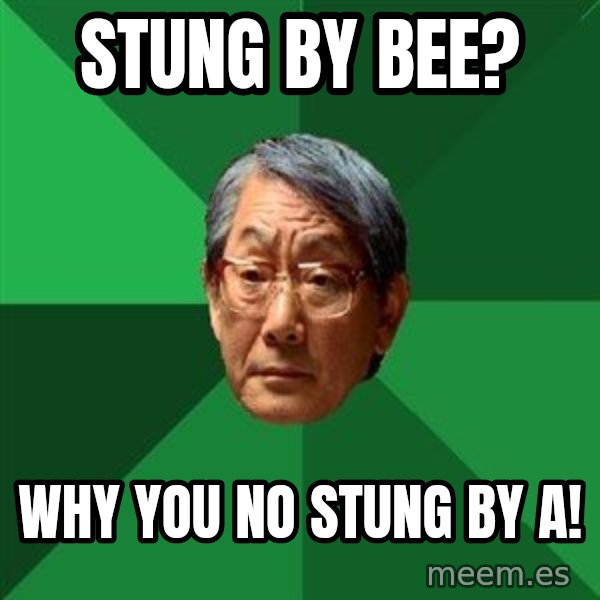 High Expectations Asian Father meme: Stung By Bee? / Why you no stung by A!
