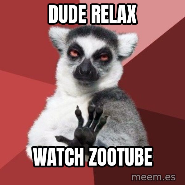 Chill Out Lemur meme: dude relax / watch zootube