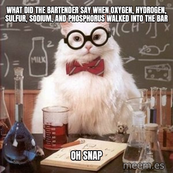 Chemistry Cat meme: What did the bartender say when oxygen, hydrogen, sulfur, sodium, and phosphorus walked into the bar / Oh Snap