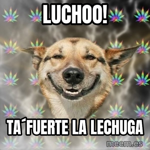Stoner Dog meme: Luchoo! / ta´fuerte la lechuga