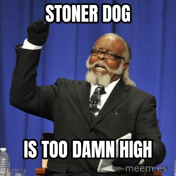 Rent Is Too Damn High meme: stoner dog / is too damn high