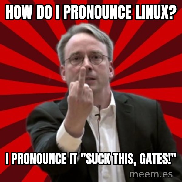 Angry Linus meme: how do i pronounce linux? / i pronounce it "suck this, gates!"