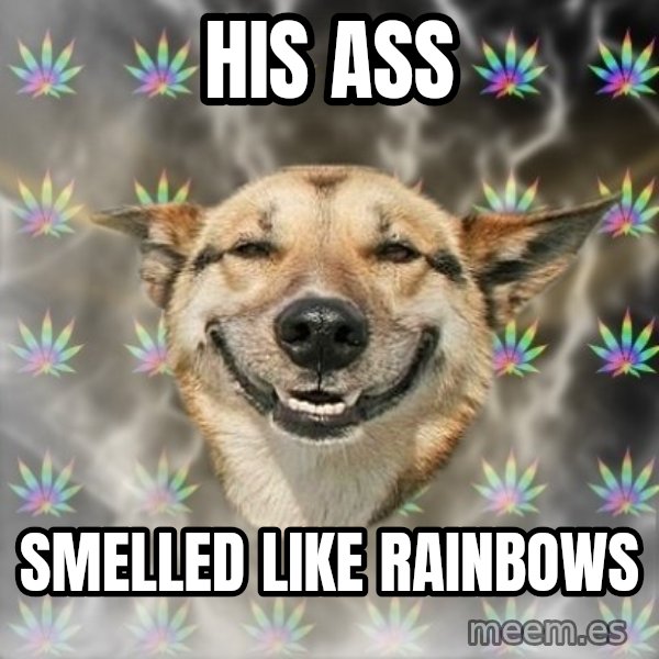 Stoner Dog meme: his ass / smelled like rainbows