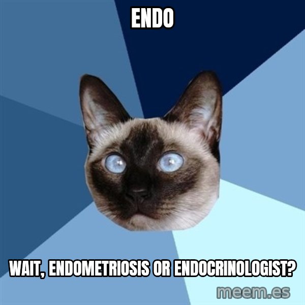 Chronic Illness Cat meme: Endo / Wait, endometriosis or endocrinologist?