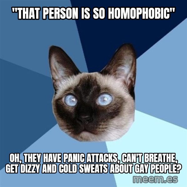 Chronic Illness Cat meme: "That person is so homophobic" / Oh, they have panic attacks, can't breathe, get dizzy and cold sweats about gay people?