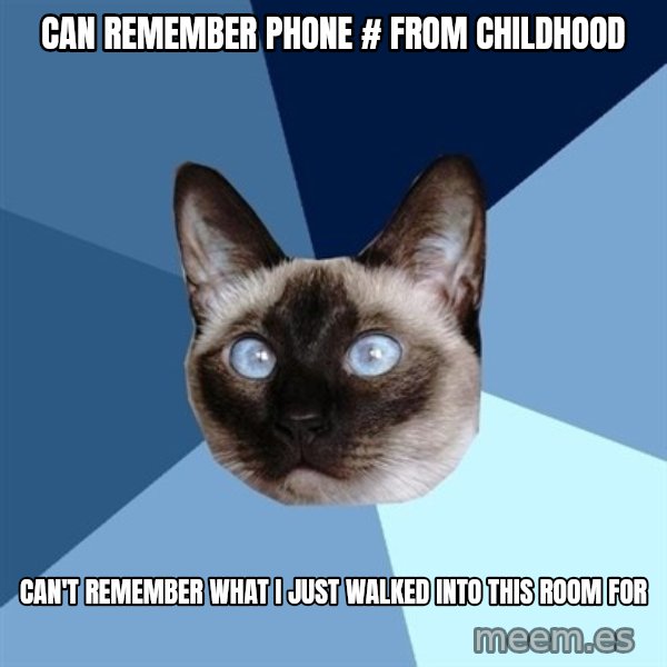 Chronic Illness Cat meme: Can remember Phone # from Childhood / Can't remember what i just walked into this room for