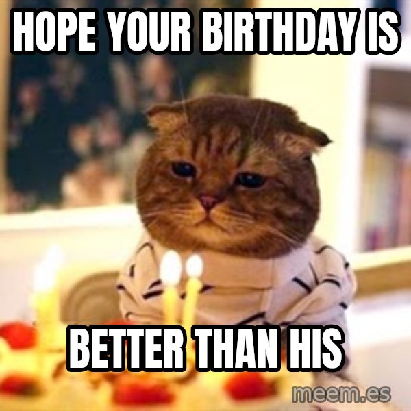 Birthday Cat meme: hope your birthday is / better than his