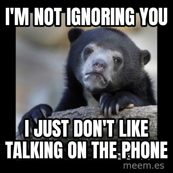 sad bear meme: I'm not ignoring you / i just don't like talking on the phone