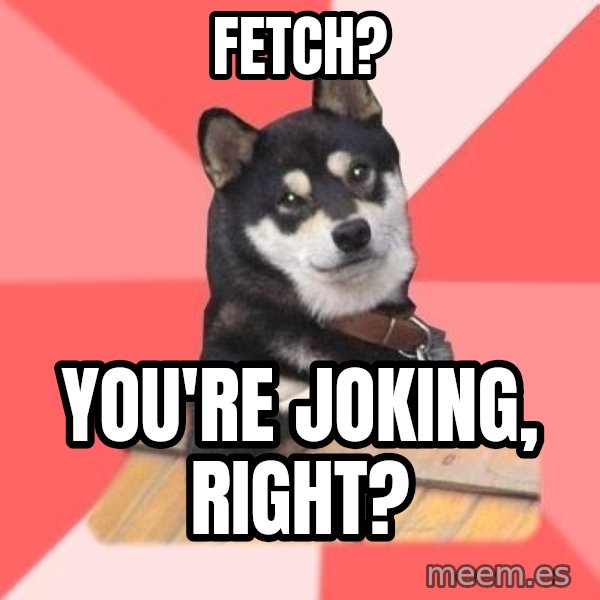 Cool Dog meme: fetch? / you're joking, right?