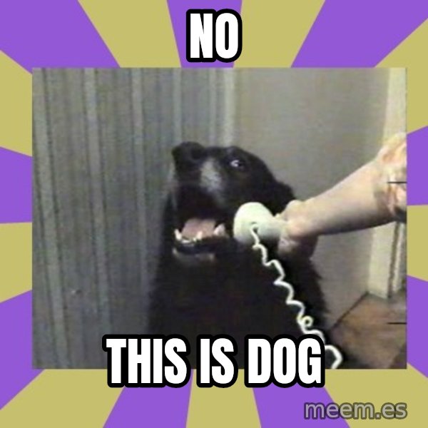 Yes, this is dog! meme: No / THIS IS DOG