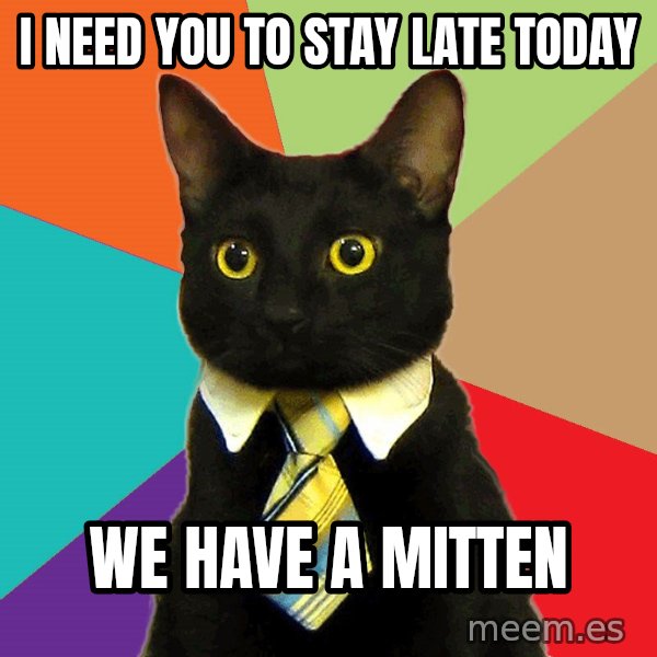 Business Cat meme: i need you to stay late today / we have a mitten