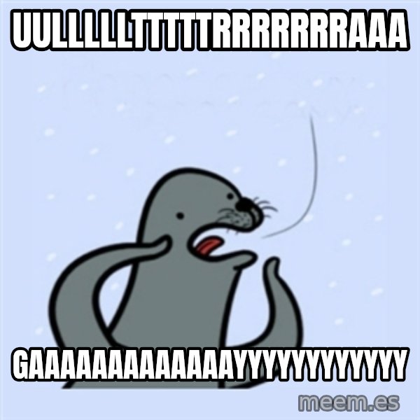 gay seal meme: uullllltttttrrrrrrraaa / GAAaaaaAAAAAAAYYYYYYYYYYYY