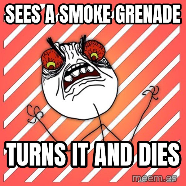 iHate meme: sees a smoke grenade / turns it and dies