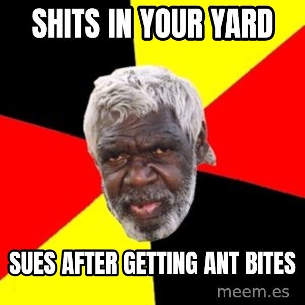 Aboriginal meme: shits in your yard / sues after getting ant bites