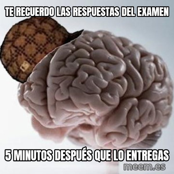 Scumbag Brain meme: Te recuerdo las respuestas del examen / 5 minutos después que lo entregas