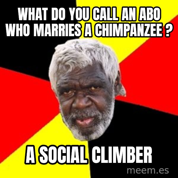 Aboriginal meme: what do you call an abo who marries a chimpanzee ? / A social climber
