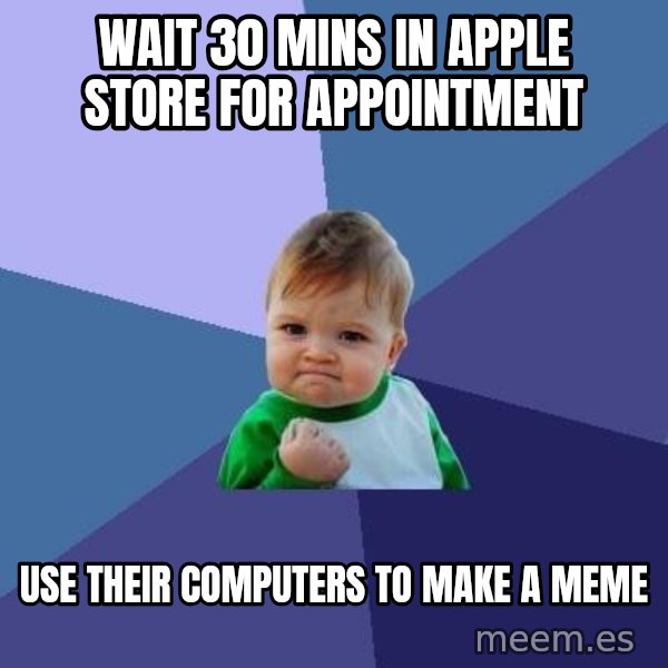 Success Kid meme: Wait 30 mins in apple store for appointment / use their computers to make a meme