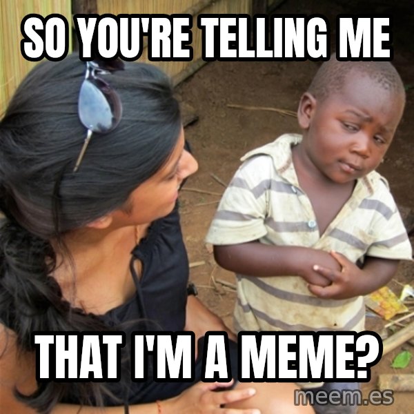 So You're Telling me meme: So you're telling me / that i'm a meme?