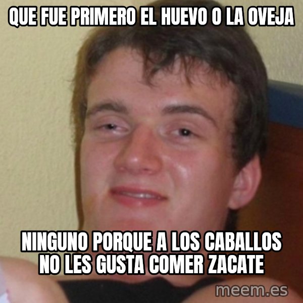 Stoner Stanley meme: Que fue primero el huevo o la oveja / Ninguno porque a los caballos no les gusta comer zacate